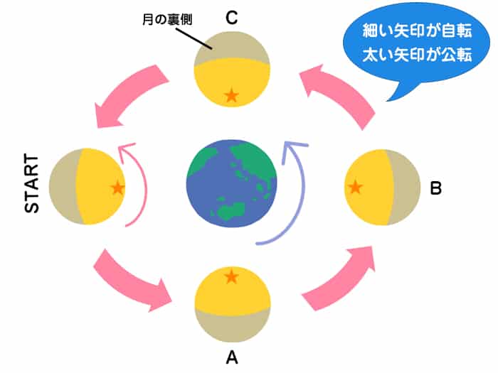 月の自転と公転周期は同じ!月の裏側が地球から見えない理由【図説】 - 天文ブログ